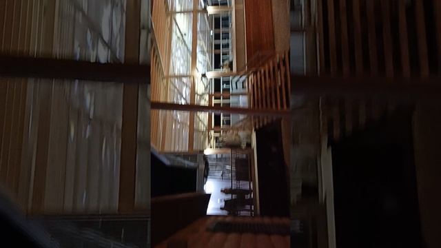 Салют выпускной 2025 смотреть онлайн