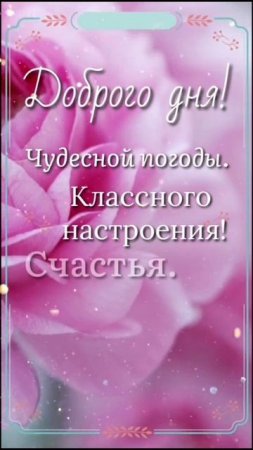 добрый день