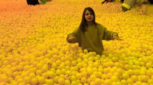 Мистер Макс День в музее шаров