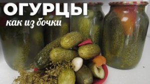 ХРУСТЯЩИЕ Соленые Огурцы в Банках! Квашеные Огурцы на Зиму! Семейный рецепт! Всегда 100% результат!