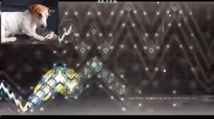 1000030018.mp4