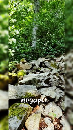 Пешком на Индюшку // ч. 5 // июнь 2025