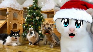 24 ЧАСА УКРАШАЕМ ЁЛКУ на НОВЫЙ ГОД! КТО ЛУЧШЕ из А ну-ка Давай-ка УКРАСИТ? ЧЕЛЛЕНДЖ