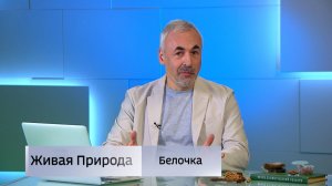 Живая природа. "Белочка"