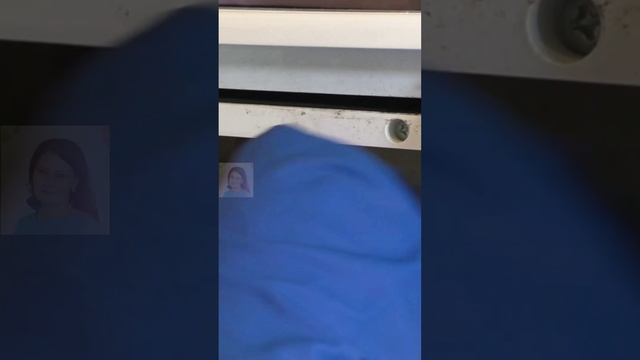 Как отмыть лоток стиральной машины? #стиралка