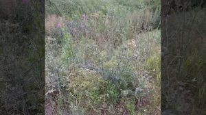 как приходит Возмездие плохая карма
