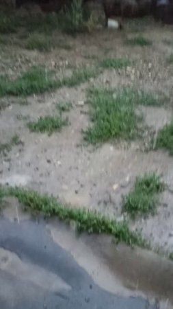 У нас снова дождик... 28 июня 2025 г.