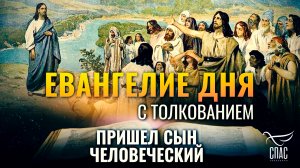 «ПРИШЕЛ СЫН ЧЕЛОВЕЧЕСКИЙ» / ЕВАНГЕЛИЕ ДНЯ
