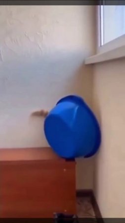 ыйыйы