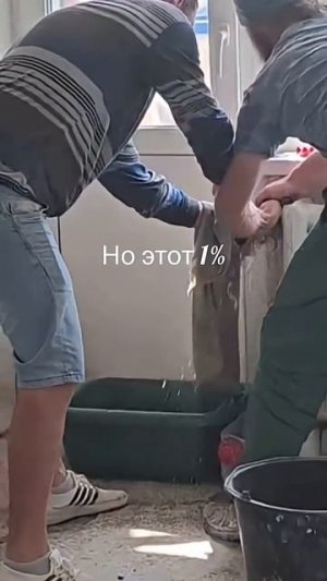 Когда ты на 99% #ремонт #shorts