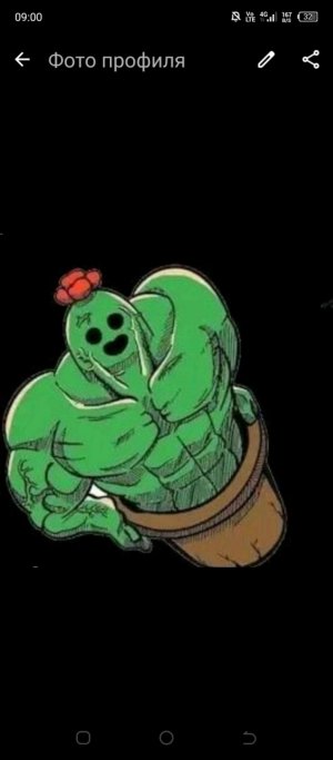 играем в майн