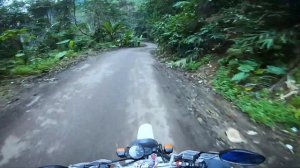 AMBIENT CHILLOUT LOUNGE RELAXING MUSIC. Jungle mountain road.