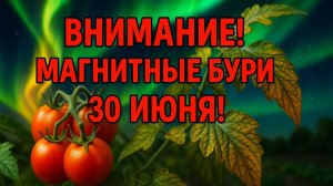 ВНИМАНИЕ! НОВЫЕ ДАННЫЕ. МАГНИТНЫЕ БУРИ 30 ИЮНЯ 2025!