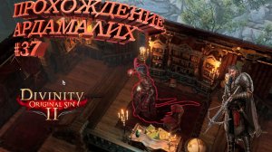 ПРОХОЖДЕНИЕ, АРДАМАЛИХ►Divinity Original Sin 2►37