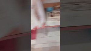 1000011399.mp4