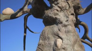 Потомок великих шаманов // Даши Намдаков // Байкальская эволюция: люди и смыслы