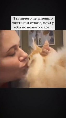 😻😻😻