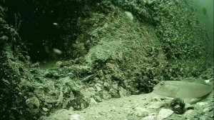 1000045608.mp4Волга гл.5м.30.06.2025г.