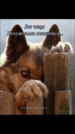 СТИЛЬ #музыкальнаяоткрытка # Цитата#смыслжизниверность