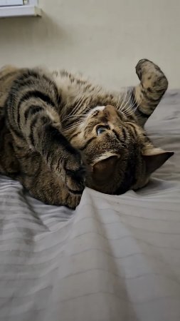 А что ты замуж не выходишь 🤔🙀😉💔👍🚀👇