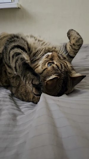 А что ты замуж не выходишь 🤔🙀😉💔👍🚀👇