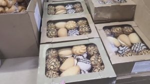 Влог. Работа, покупки, забежала в Светофор