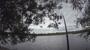 Ловля щуки на поплавочную удочку 2025г.