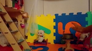1000000841.mp4