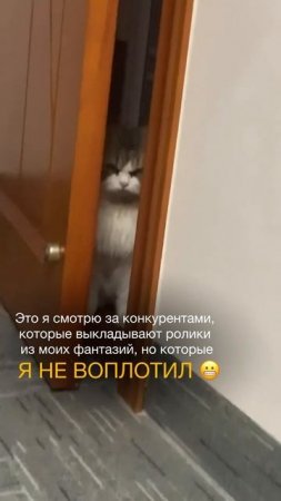 Делай! У ТЕБЯ ВСЁ ПОЛУЧИТСЯ!