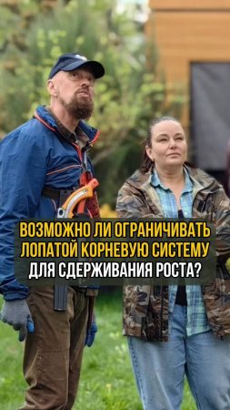 Возможно ли ограничивать лопатой корневую систему для сдерживания роста?