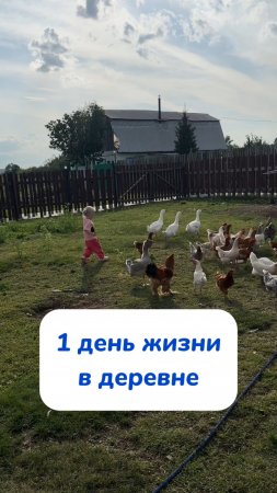 Всегда с собой салфетки WB #234627478 Ozon #1641932840