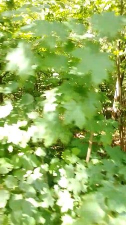 Хорошая прогулка по природному ландшафту, любуюсь красотой природы