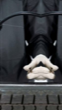 Пистолет для подкачки шин с цифровым манометром KraftWell