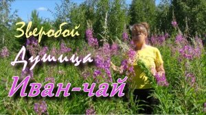 Поездка за травами " Уникальное место."..🌿.#nizuvivideo