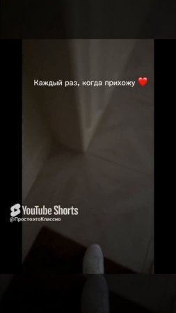 Мопс Милка