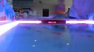 dolphin hockey