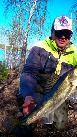 ВОТ ЭТО КАБАНЧИК! #shorts #рыбалка #fishing #рыба #fish #эдвардкосичка #природа #nature #отдых