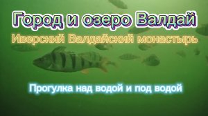 Озеро Валдай и Иверский монастырь: прогулка с дроном над водой и под водой. От колоколов до щук