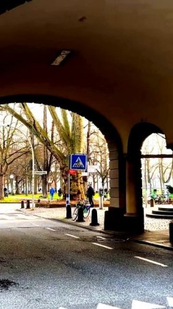Камера запечатлела удивительное совпадение