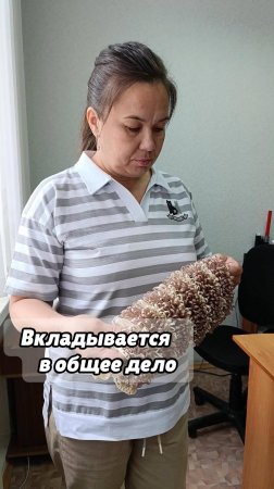 Вкладывается  в общее дело