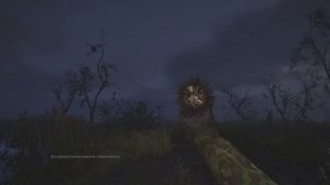 STALKER 2 #33 Хорошие бойцы (нет)