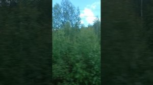 Дорога на Север