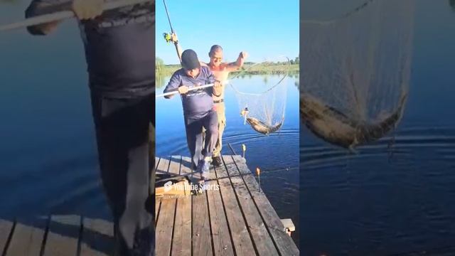 Рыбалка на толстолоба это удовольствие не из дешовых. #рыбалка #fishing #рыбалкадлядуши