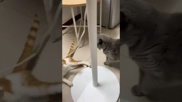 Крутые приёмы
