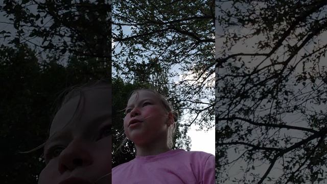 обзор второй площадки