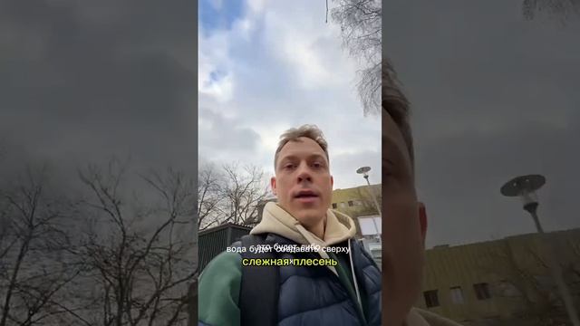 Что нужно делать с газоном ранней весной! Очистка - первый этап весеннего комплекса. #рулонныйгазон