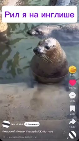 я на английском:)/видео НЕ МОЁ