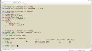 04. Validate LDP-Signaled VPLS