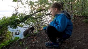 Кемпинг на Черном море Отдых в палатках с детьми Сосновый берег Camping on the Black Sea