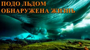 Подо льдом обнаружена жизнь.